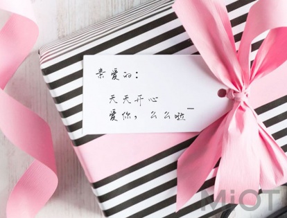 Розчіска з іонізацією Xiaomi Yueli Portable Anion Massage Comb Matte Pink (HIC-206RM)